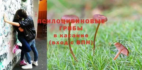 ECSTASY Няндома