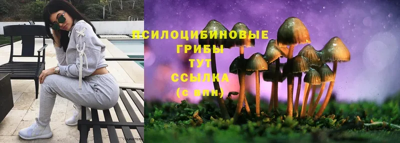 хочу   Киренск  Псилоцибиновые грибы MAGIC MUSHROOMS 