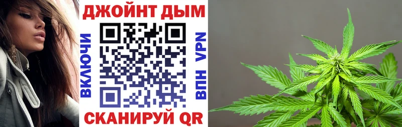 Бошки марихуана конопля  закладки  Киренск 